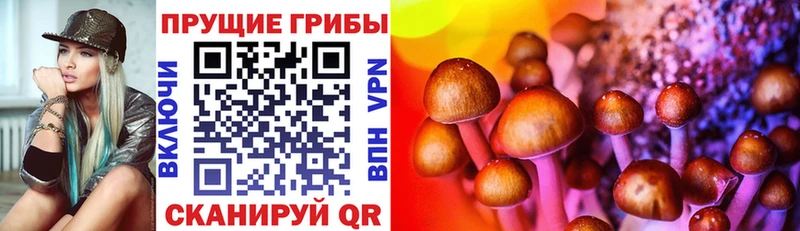 закладка  Яранск  Псилоцибиновые грибы GOLDEN TEACHER 